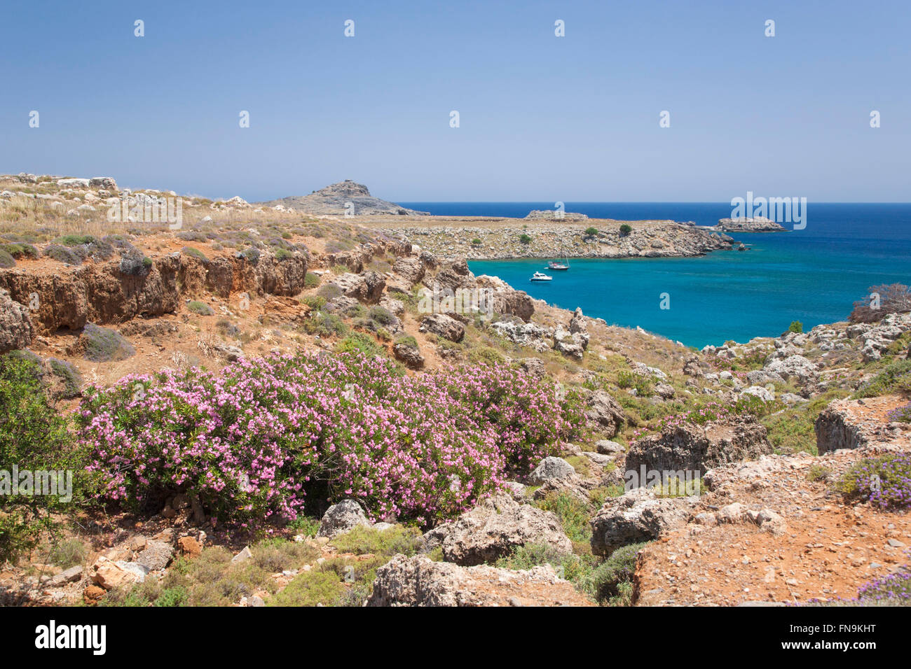 Lindos, Rodi, Egeo Meridionale, Grecia. Vista lungo la costa rocciosa al di sopra di Lindos Bay. Foto Stock