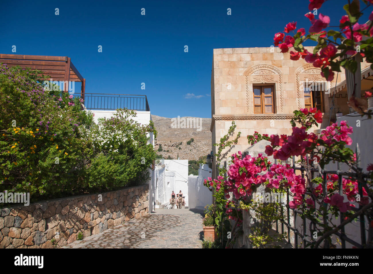Lindos, Rodi, Egeo Meridionale, Grecia. Vista lungo una stretta viuzza, i turisti su asini voce per l'Acropoli. Foto Stock
