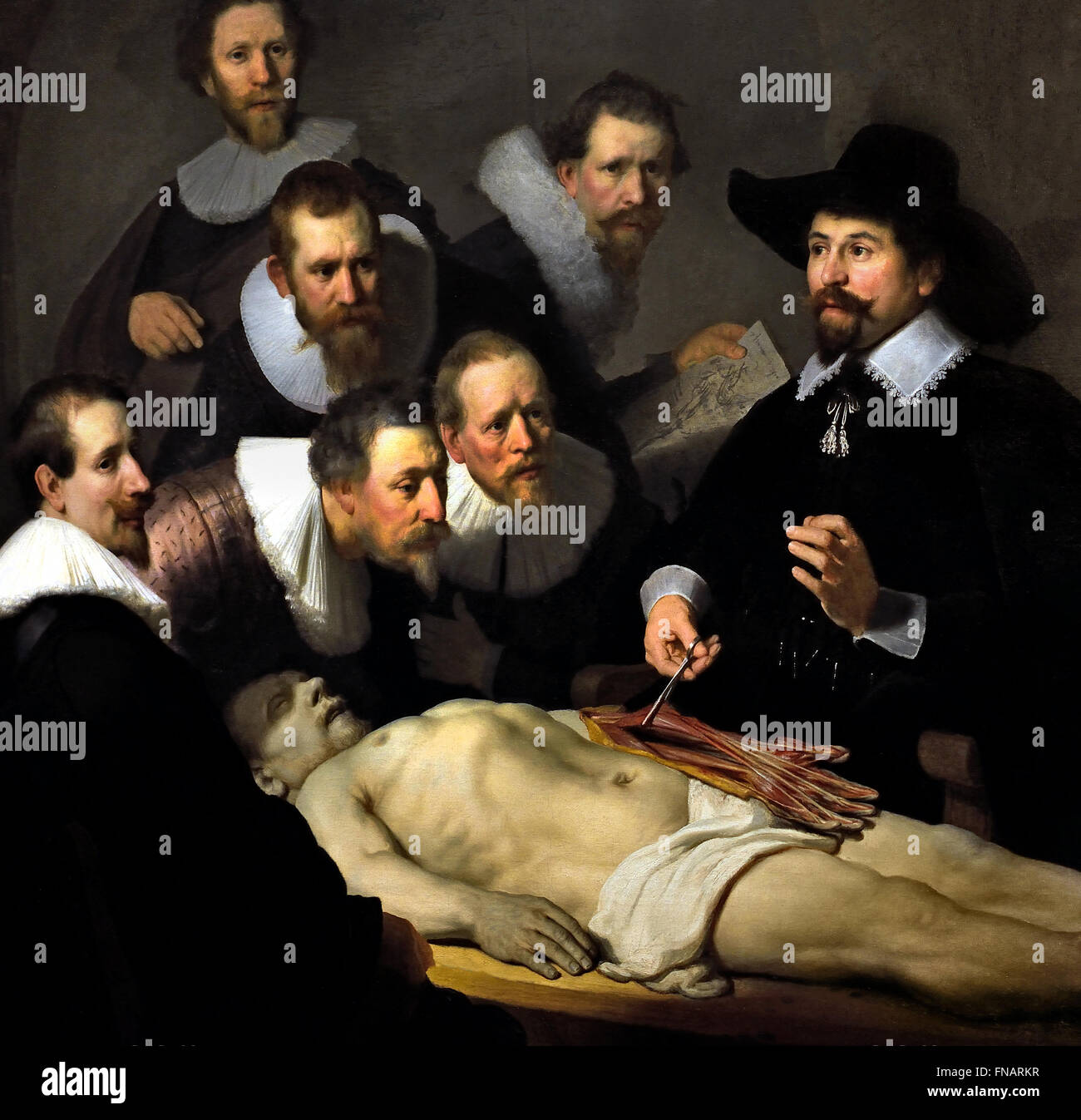 La Lezione di anatomia ( de anatomische les ) del dottor Nicolaes Tulp 1632 Harmenszoon Rembrandt van Rijn1606-1669 Paesi Bassi Paesi Bassi Foto Stock