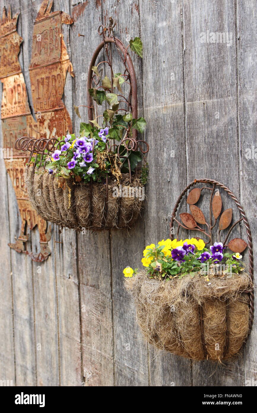 Fiori di campagna Foto Stock