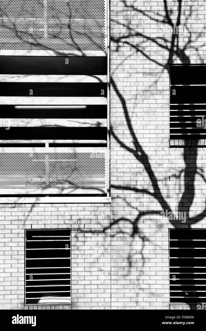 L'ombra dell'albero d'inverno alla luce del sole in un parcheggio multi Story a Milton Keynes, Buckinghamshire, Inghilterra. Bianco e nero Foto Stock