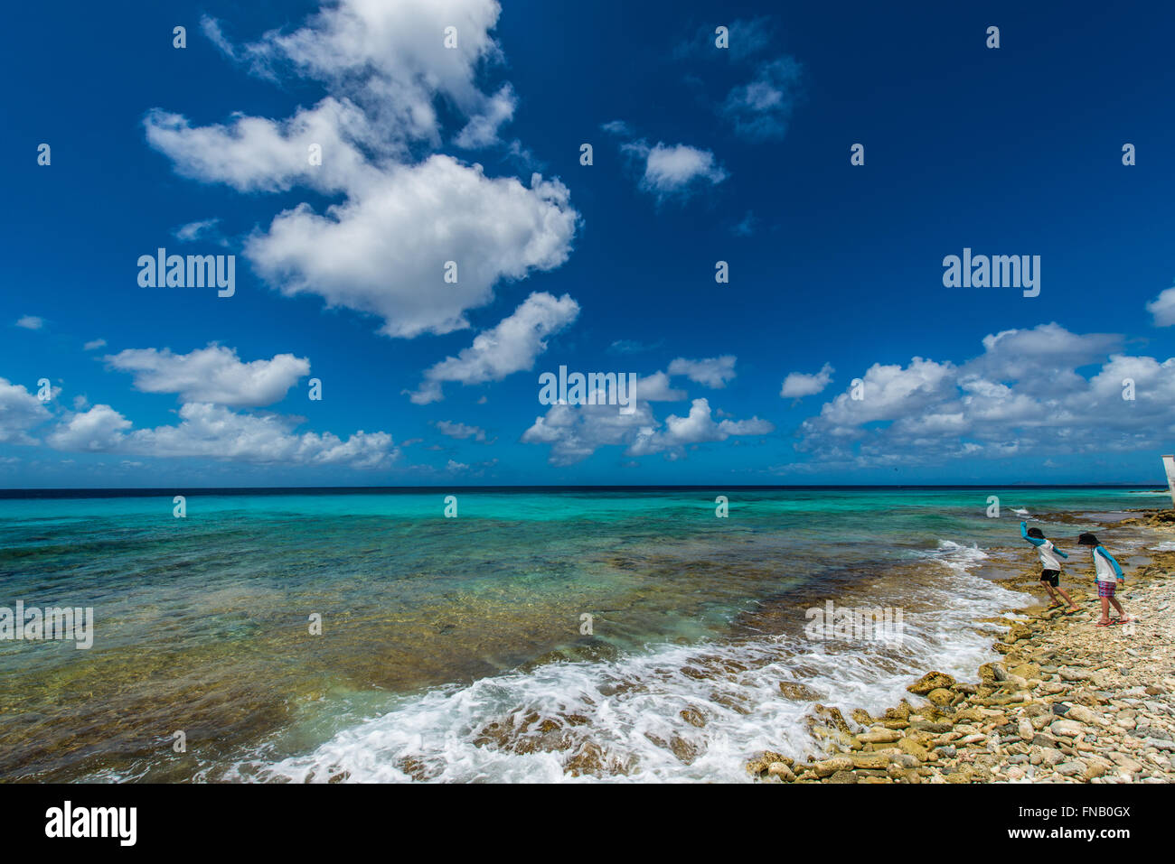 Bella Bonaire con i suoi splendidi paesaggi e spiagge e stupende barriere coralline. Un paradiso per gli sport acquatici e per gli amanti della natura Foto Stock