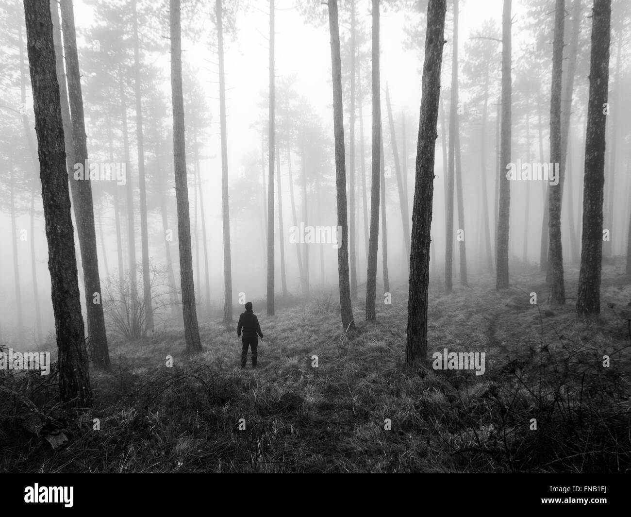 Uomo in piedi in una foresta nebbiosa, Navarra, Spagna Foto Stock