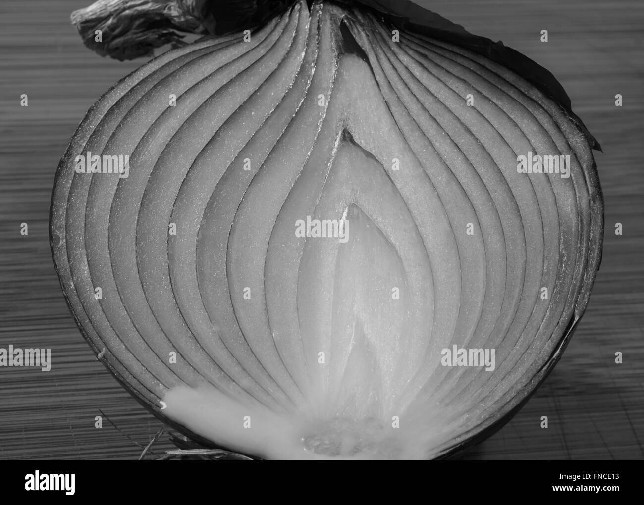 Cipolla fresca close-up Foto Stock
