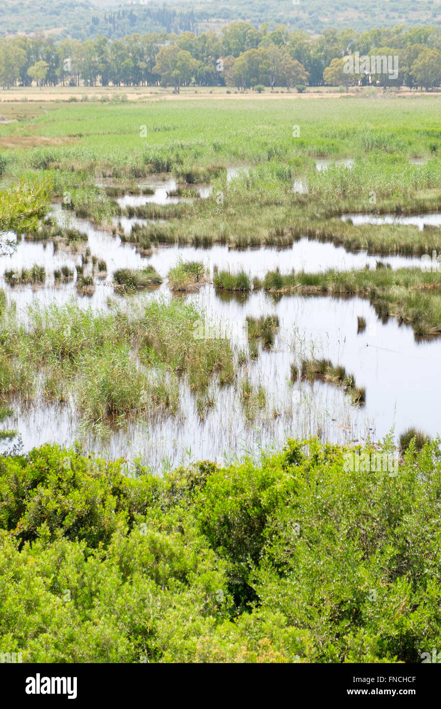 Le zone umide costiere sull'isola di Cefalonia in Grecia. Foto Stock