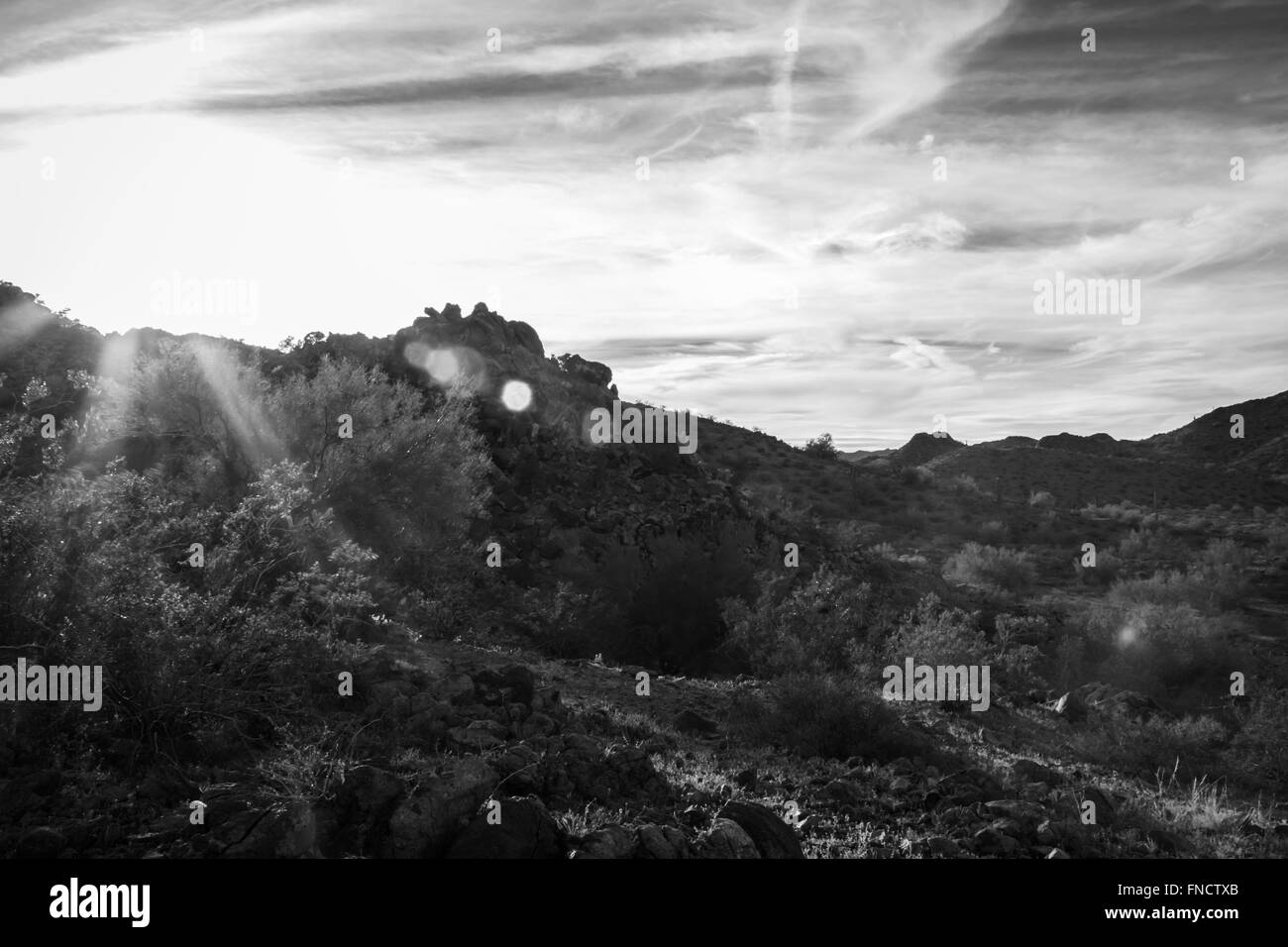 Tramonto nel deserto sfondo in Arizona Foto Stock