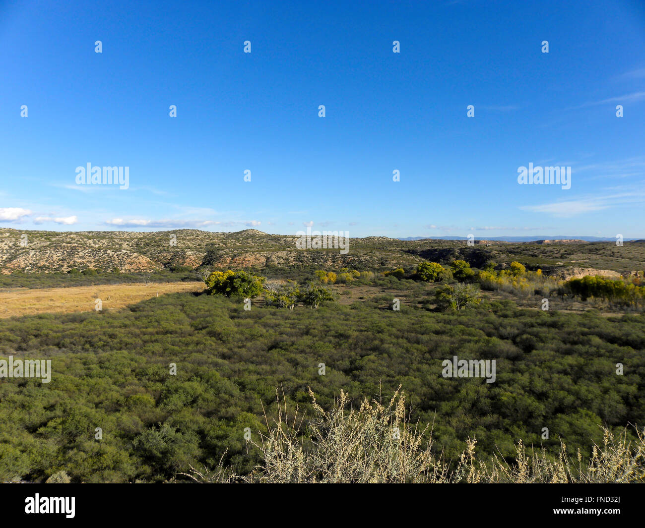 Valle Verde con campo di marrone e le colline ondulate sotto il cielo blu. Foto Stock