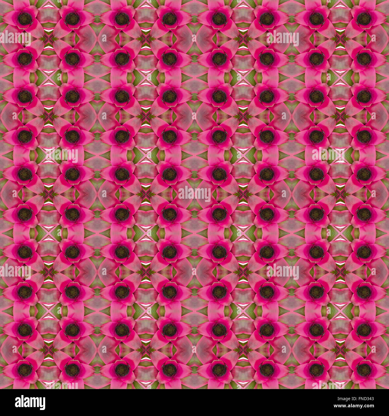 Bromeliad flower seamless sfondo pattern Foto Stock