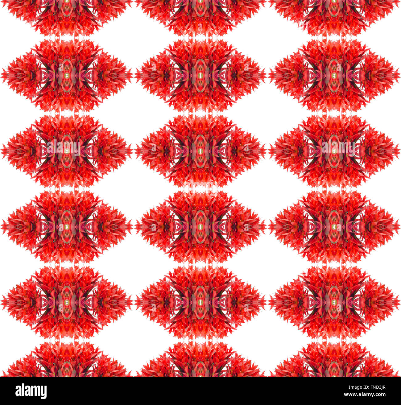 Bromeliad seamless sfondo pattern Foto Stock