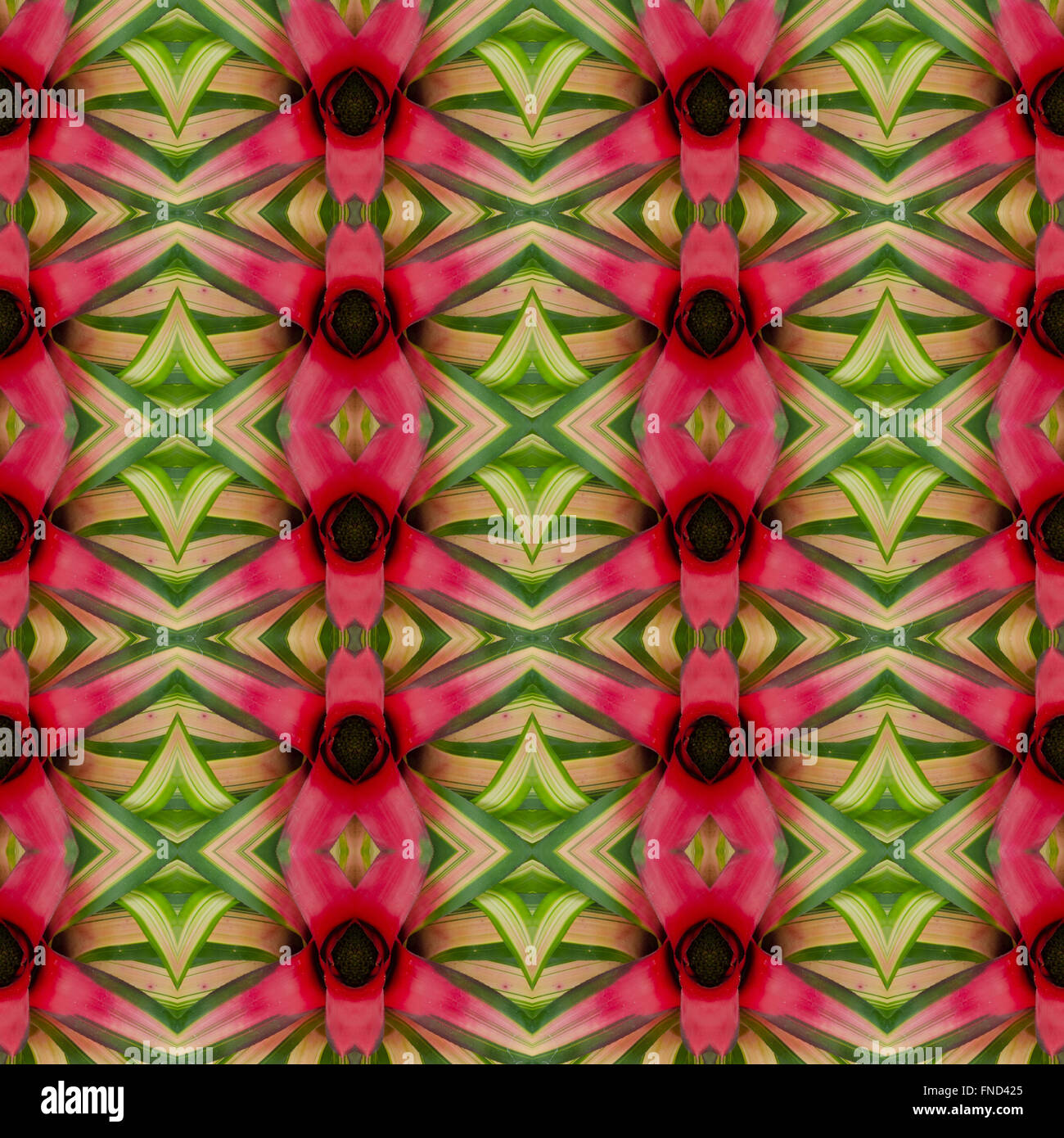 Bromeliad flower seamless sfondo pattern Foto Stock