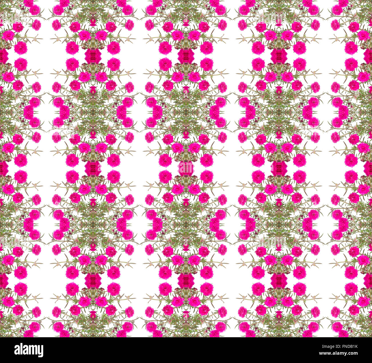 Portulaca flower seamless sfondo pattern Foto Stock