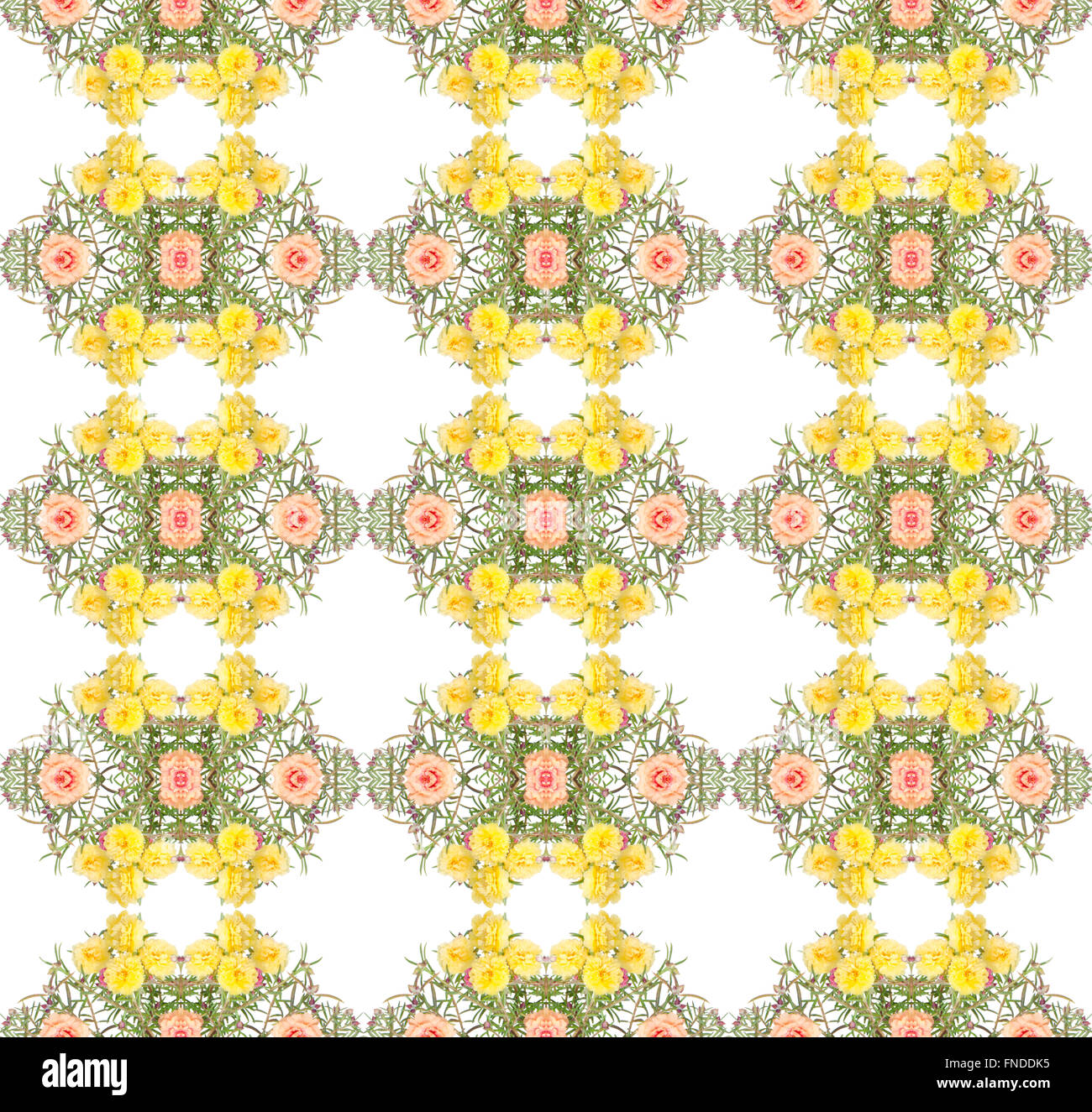 Portulaca flower seamless sfondo pattern Foto Stock