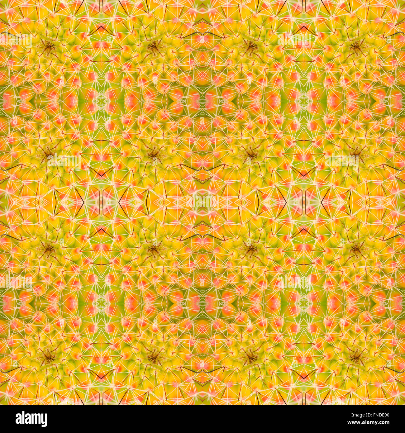 Piante succulente pattern seamless sfondo Foto Stock