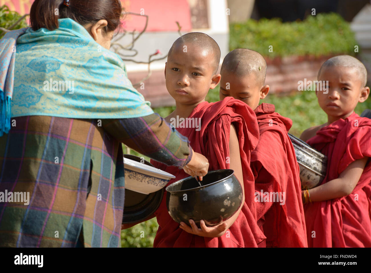 Giovani monaci sulla loro mattina alms tornate, Bagan, Myanmar Foto Stock