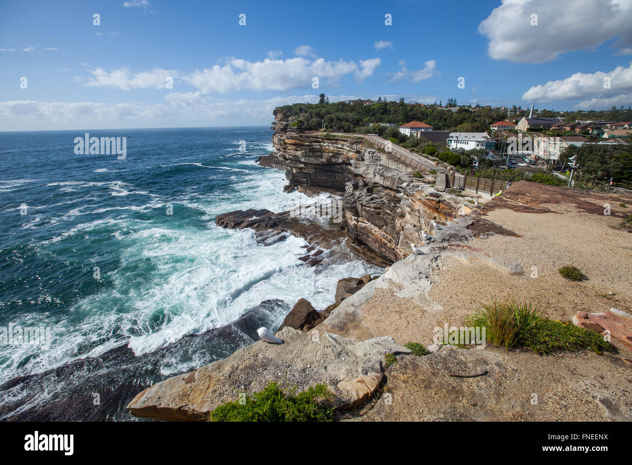 Vista su Vaucluse da Sydney's South Head Foto Stock