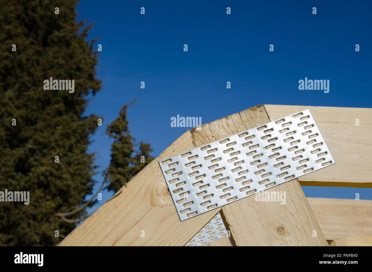 Chiodo metallico piatto come un connettore in una costruzione in legno Foto Stock
