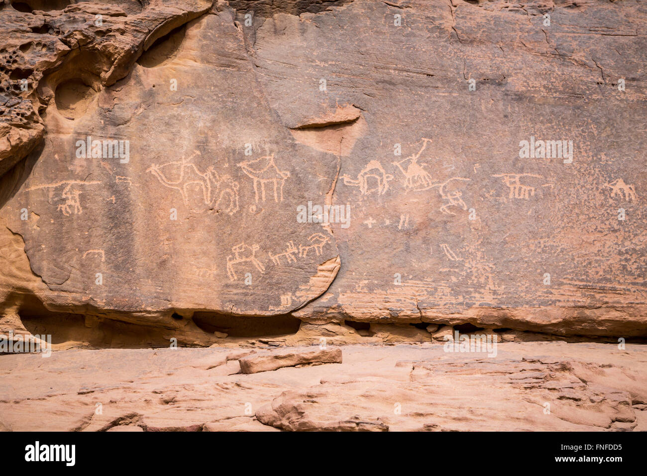 Incisioni rupestri nella roccia nel Wadi Rum deserto del sud del Regno Hascemita di Giordania, Medio Oriente. Foto Stock