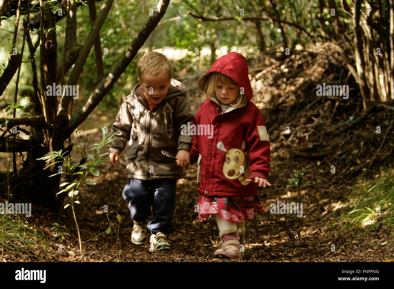 A piedi nei boschi Foto Stock