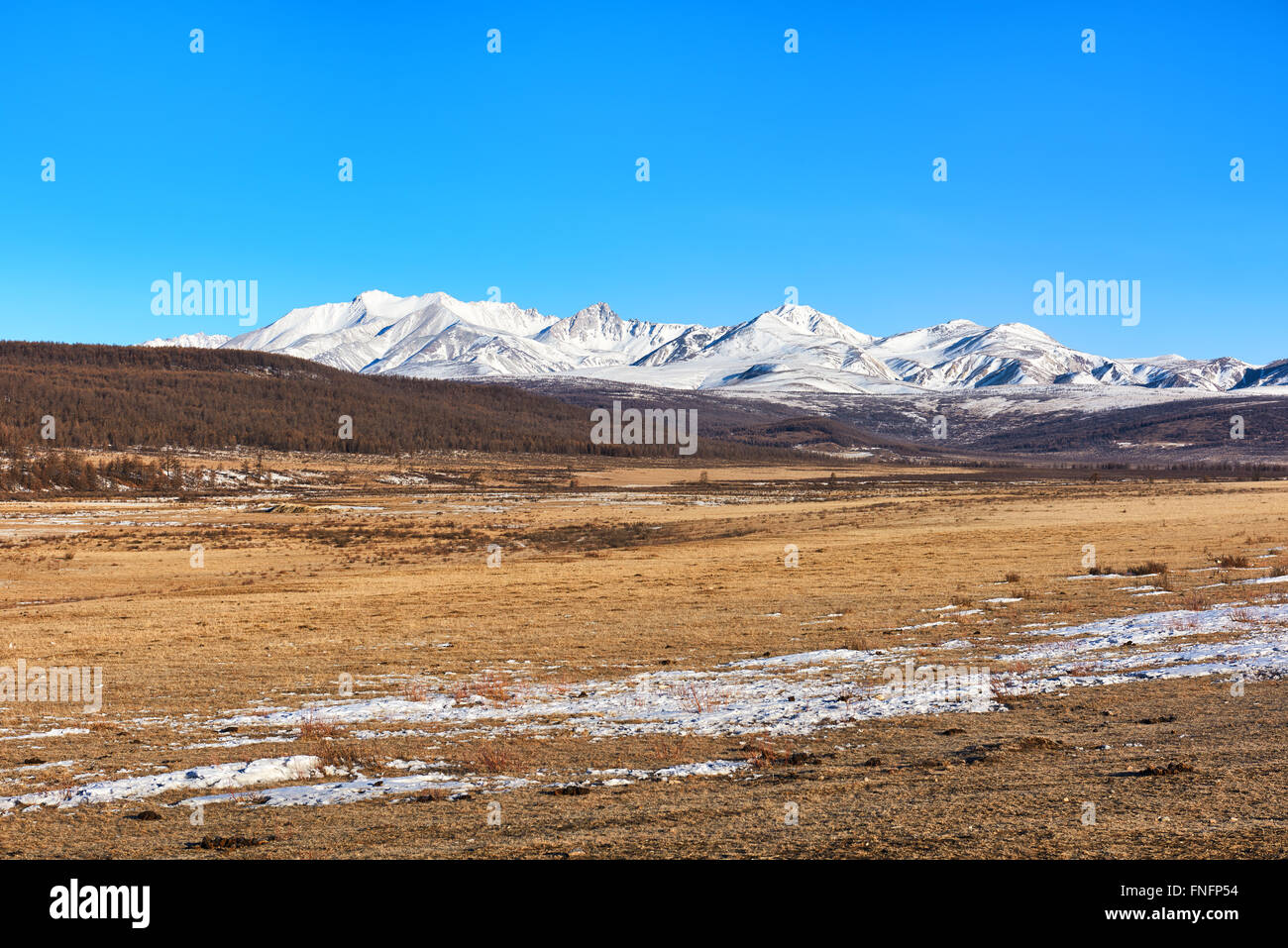 La gamma della montagna Munch-Sardyk dalla frontiera mongola . Repubblica di Mongolia Foto Stock