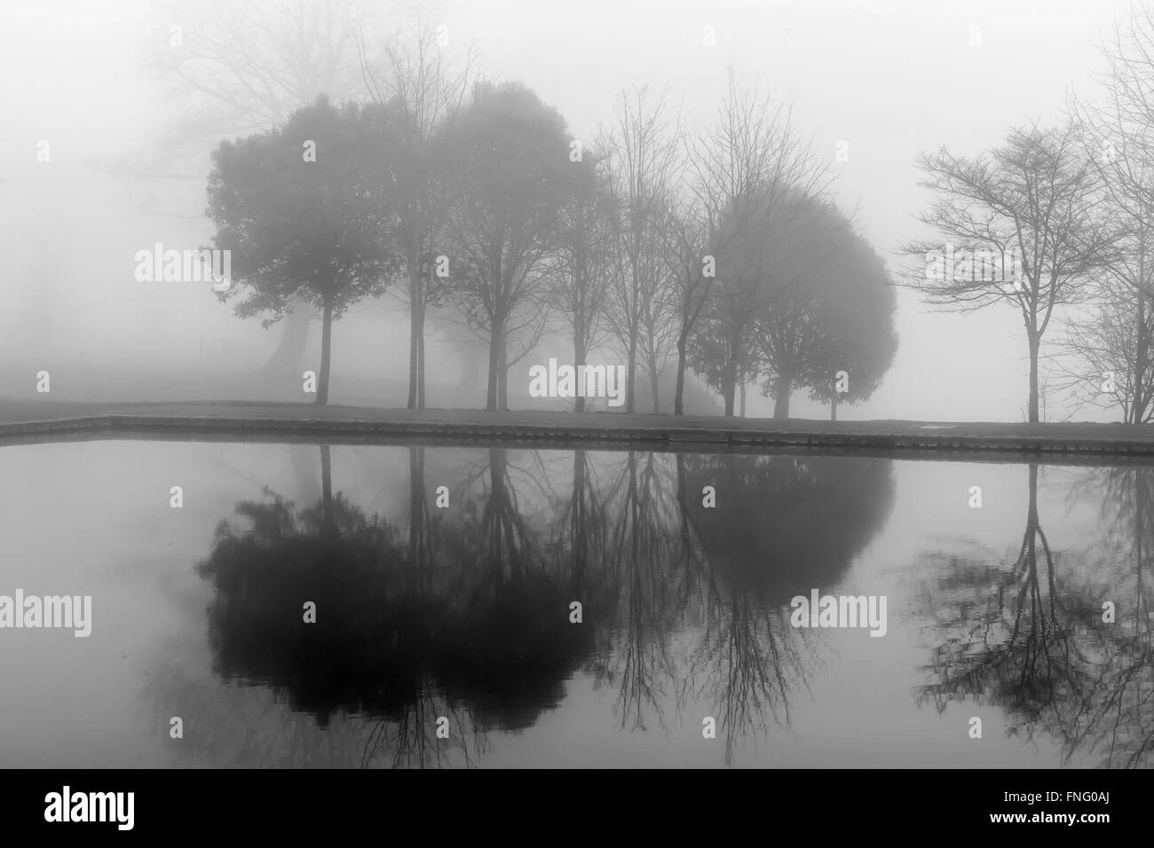 Riflessioni in una nebbiosa giornata in barca il lago in Abington Park Northampton. Foto Stock