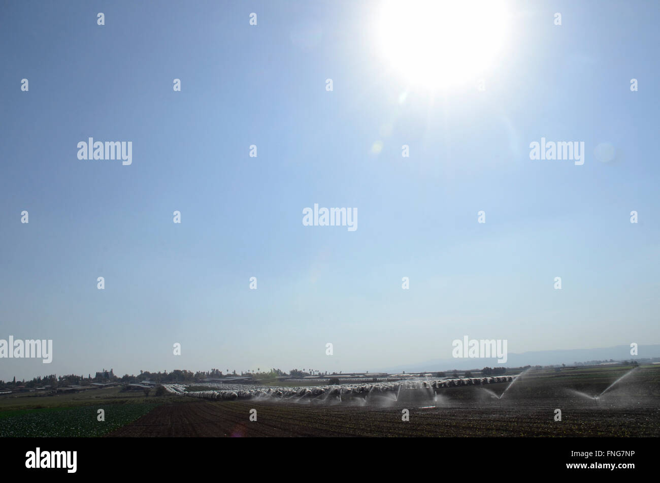 Le moderne tecniche di irrigazione fotografato in Nahalal, Israele Foto Stock