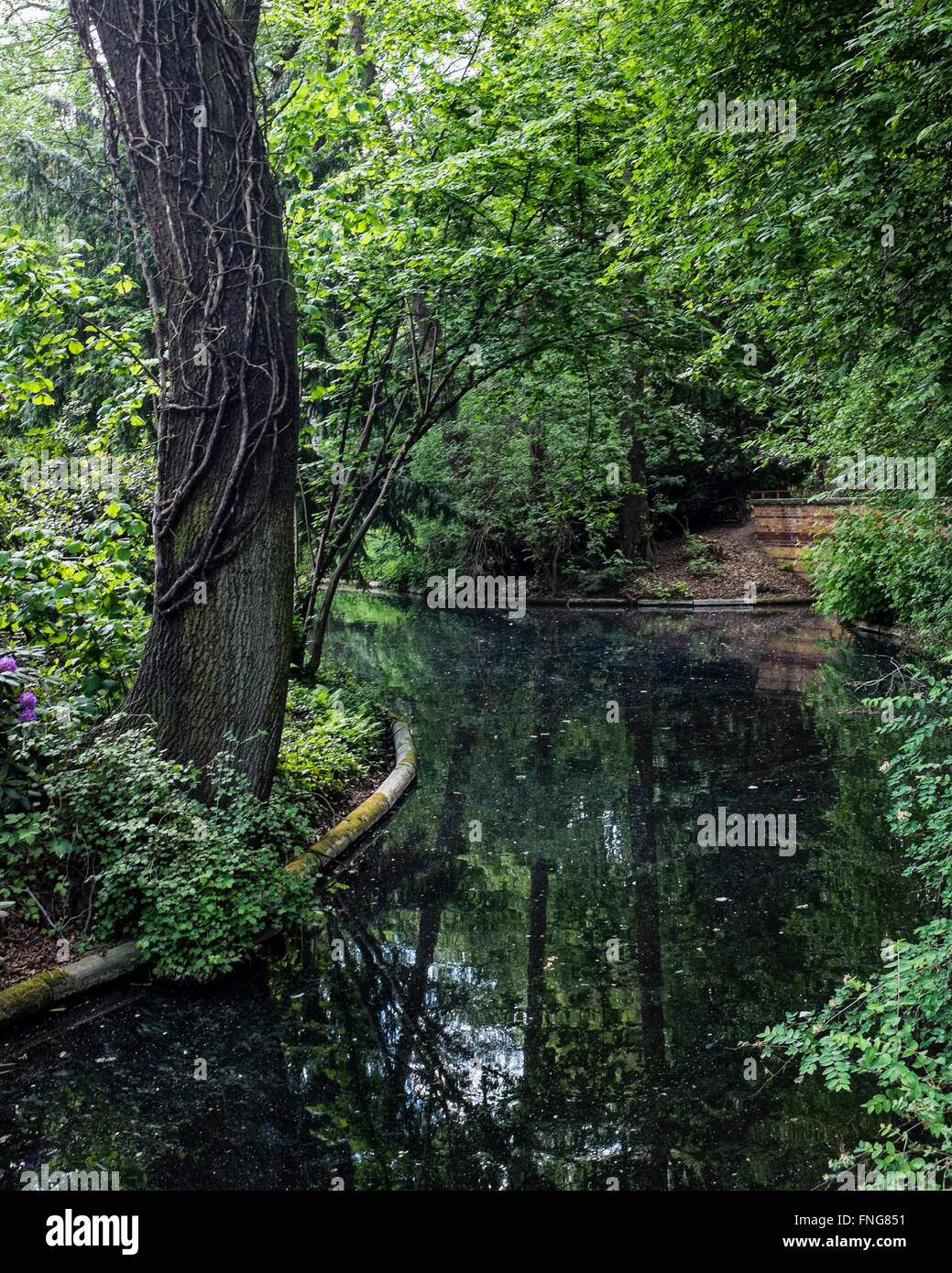 Tranquillo Lago nel pubblico Tiergarten park in estate, Berlino Foto Stock