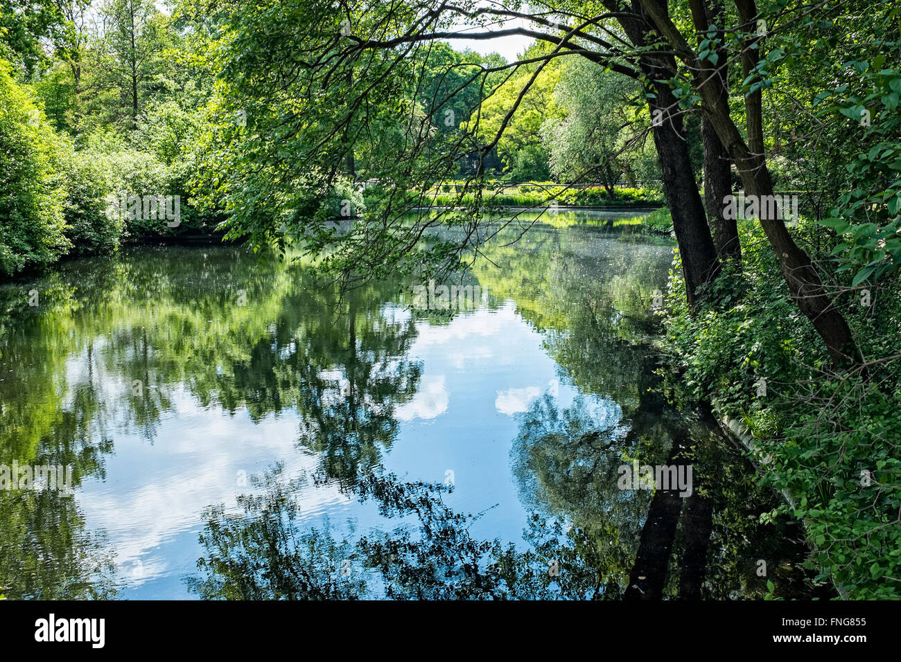 Tranquillo Lago nel pubblico Tiergarten park in estate, Berlino Foto Stock