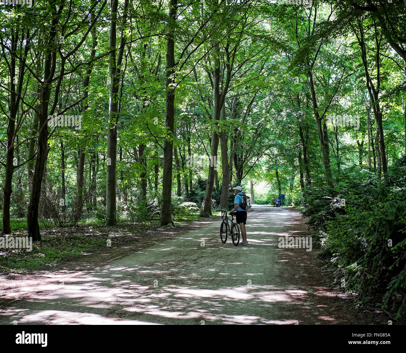 Senior l uomo e la bicicletta sul sentiero ombreggiato in pubblico Tiergarten park in estate, Berlino Foto Stock