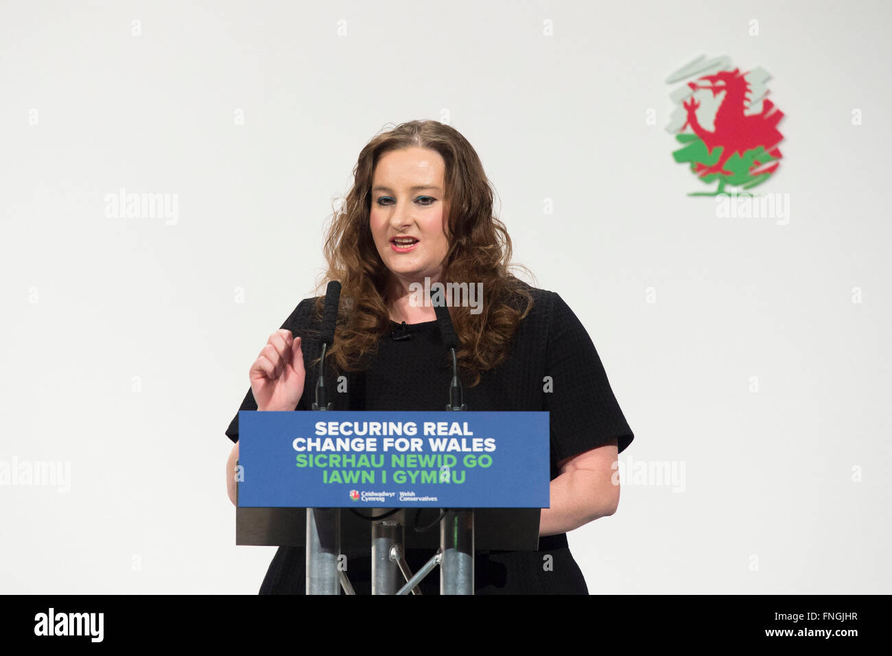 Jayne Cowan AM conservatore candidato per Cardiff North in Welsh Assembly elezioni. Foto Stock