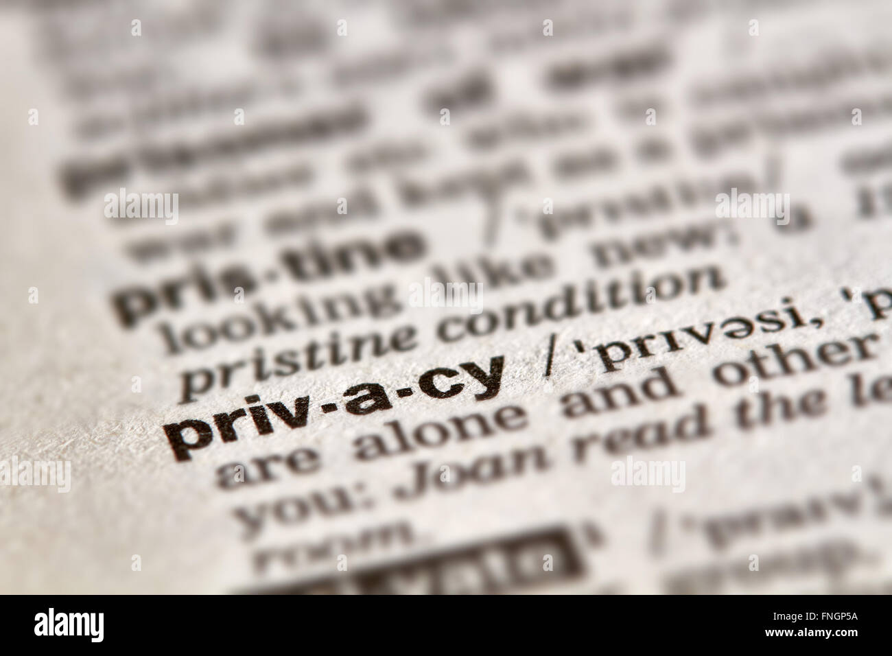 Privacy definizione parola di testo nella pagina del dizionario Foto Stock