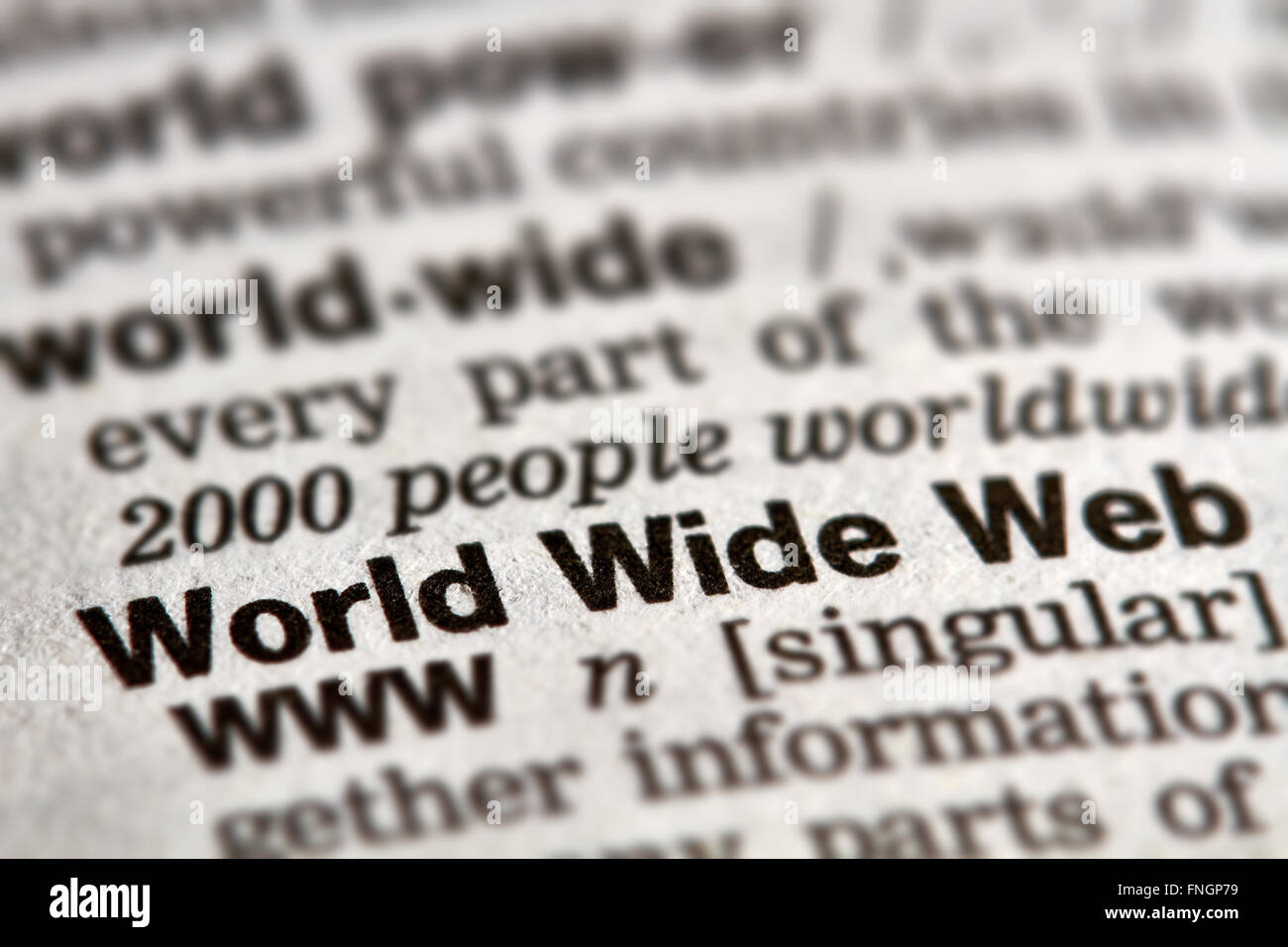 World Wide Web definizione parola di testo nella pagina del dizionario Foto Stock