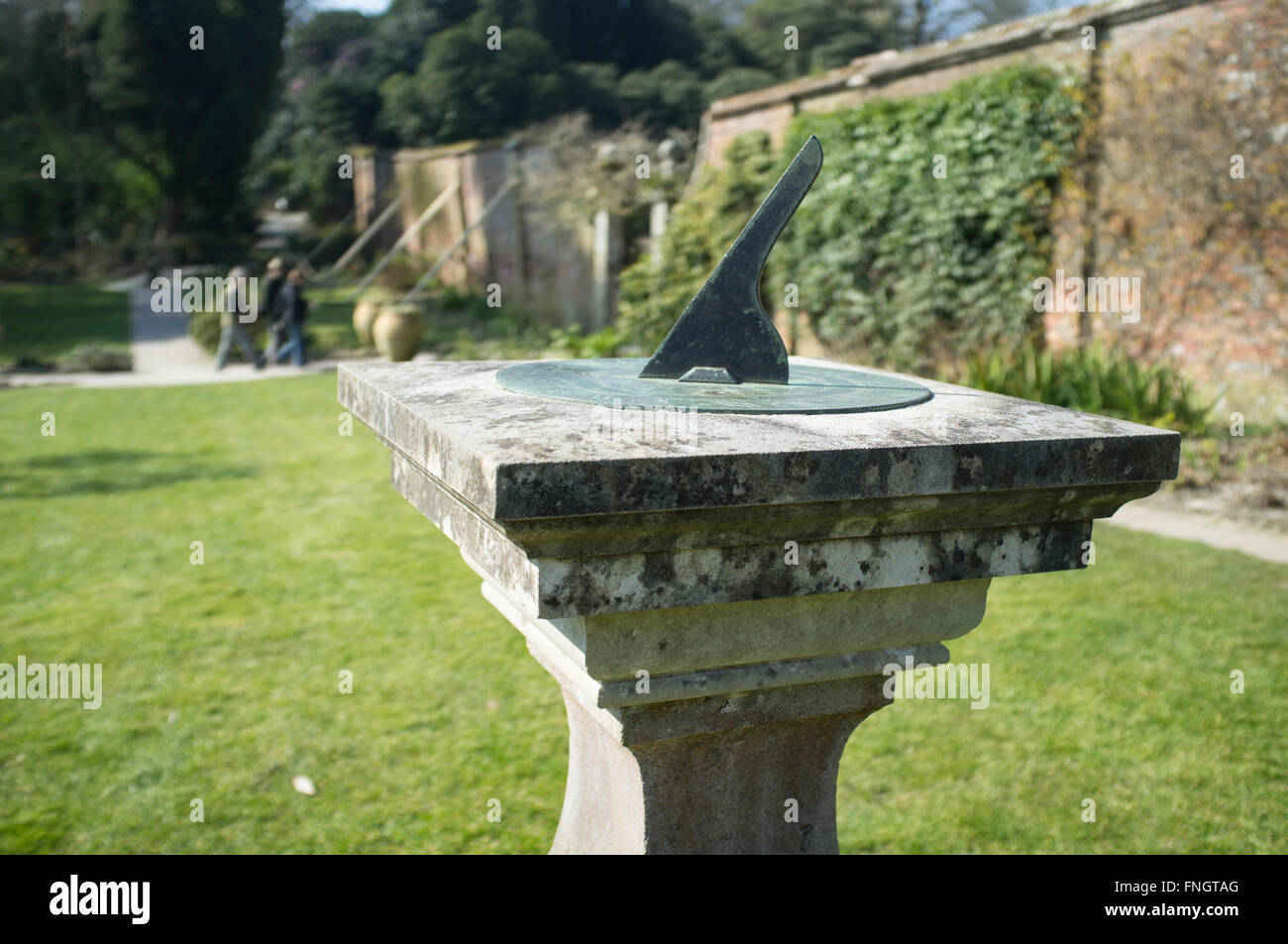 Il Lost Gardens of Heligan, Cornwall, Regno Unito. Foto Stock