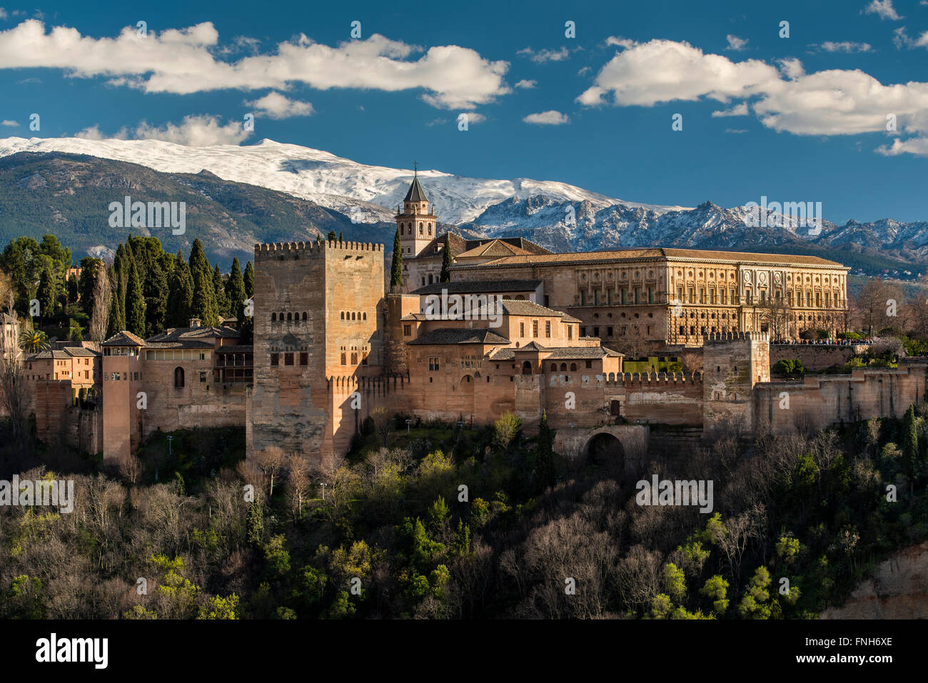 Alhambra Palace con la snowy Sierra Nevada in background, Granada, Andalusia, Spagna Foto Stock