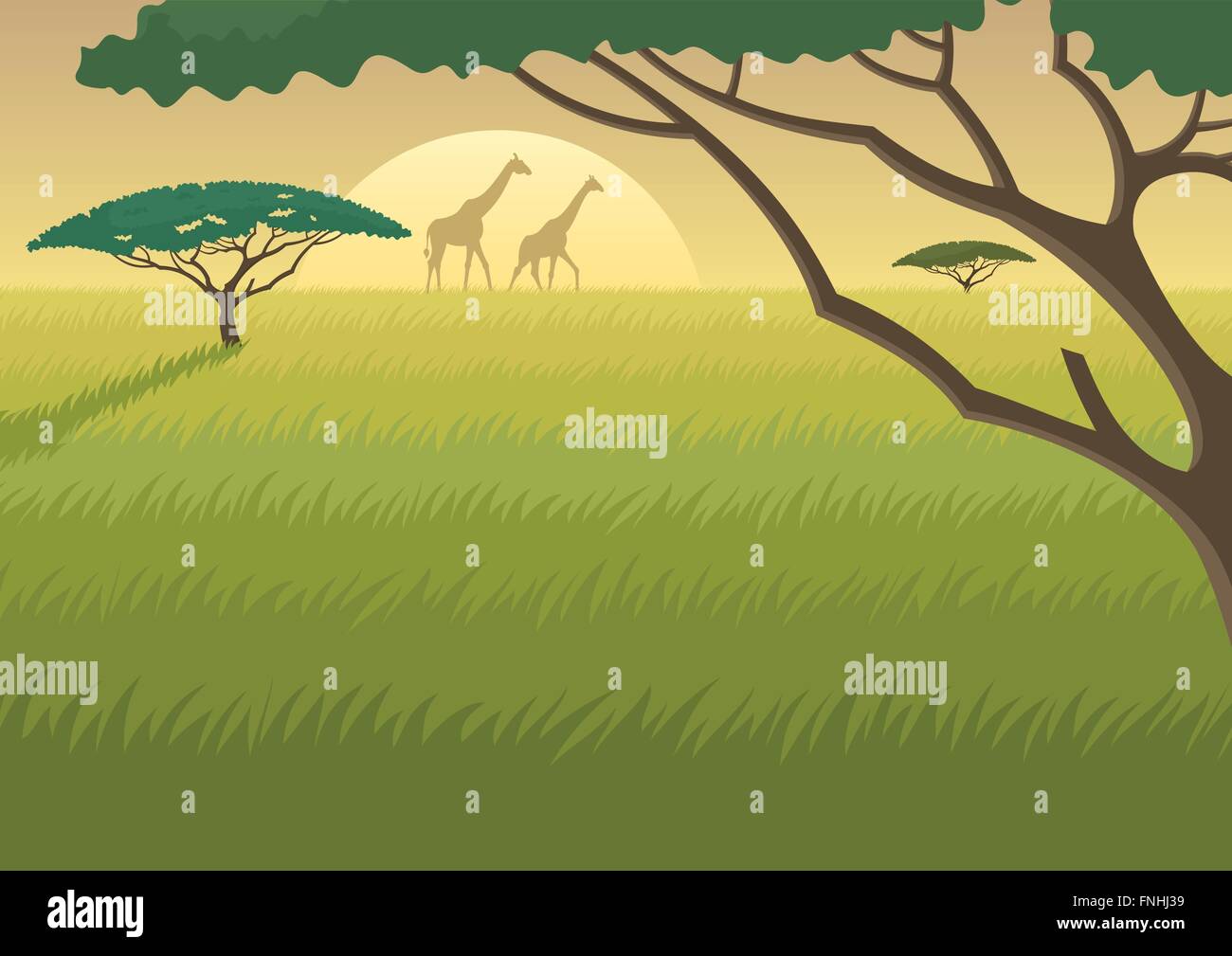 Paesaggio della savana africana a alba/tramonto. A4 proporzioni. Illustrazione Vettoriale