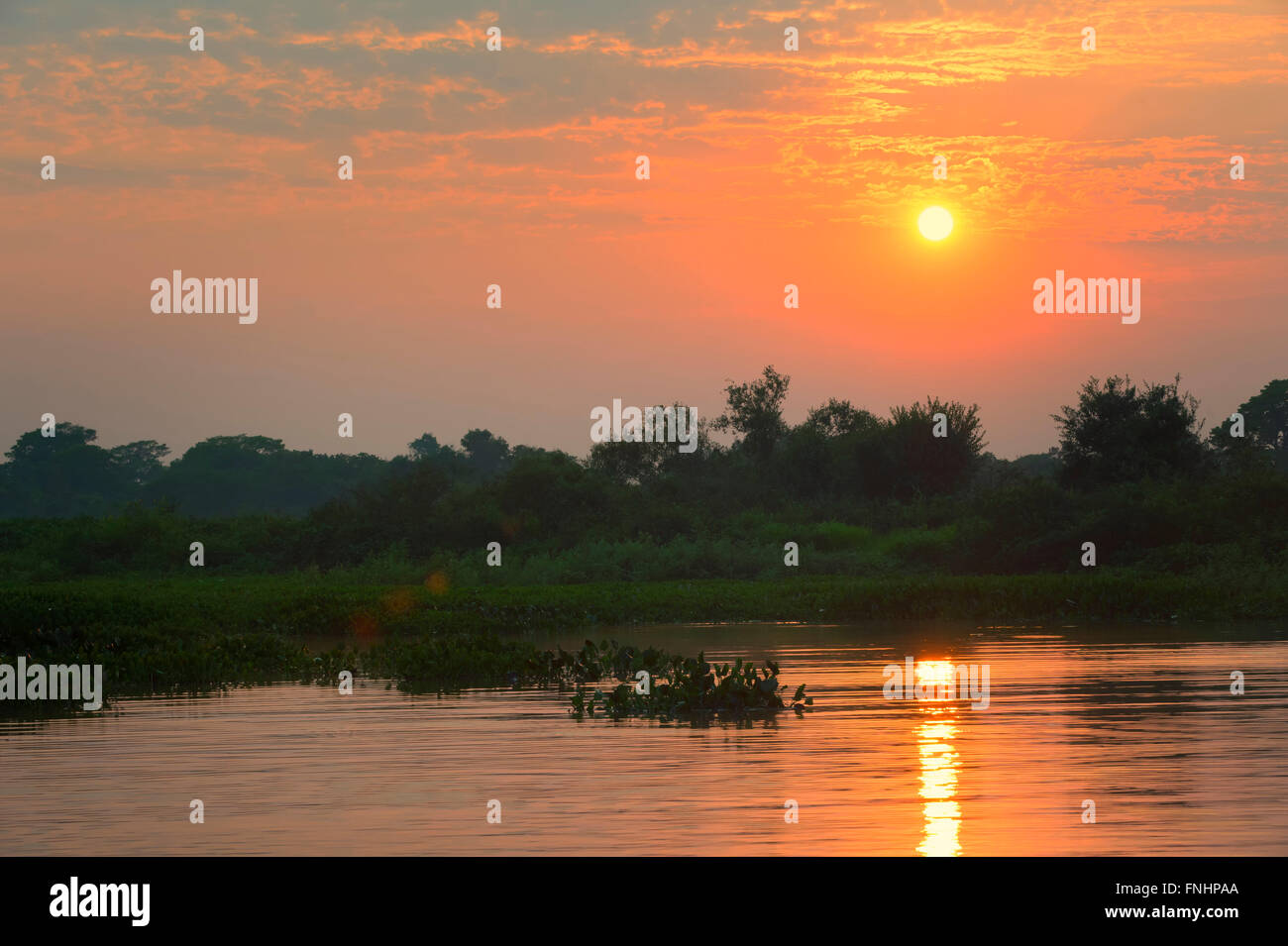 Cuiaba river a sunrise, Pantanal, Mato Grosso, Brasile Foto Stock
