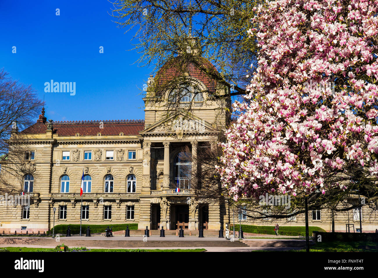 Palazzo del Reno Strasburgo, Palais du Rhin, albero di Magnolia blossom, Place de la République square, Neustadt, Strasburgo, Alsazia, Francia, Europa Foto Stock