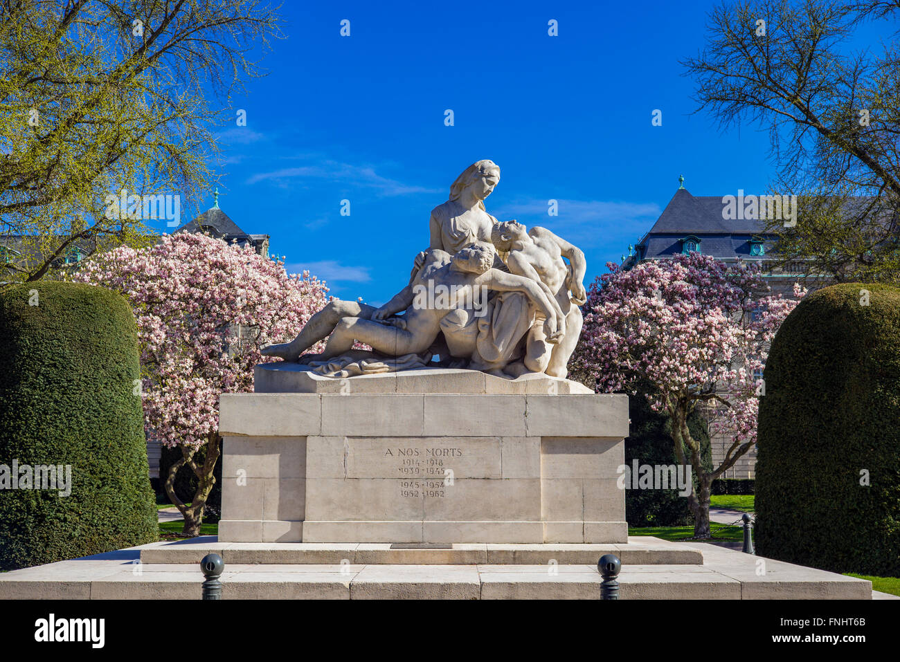 War Memorial, fioritura magnolie, Place de la République square, quartiere Neustadt, Strasburgo, Alsazia, Francia, Europa Foto Stock