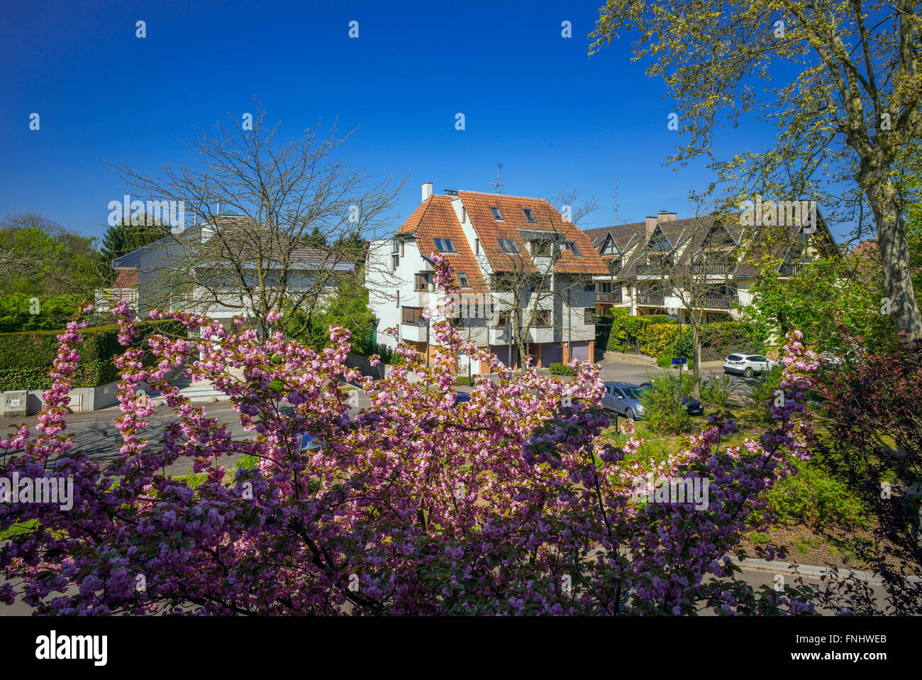 Condomini, quartiere residenziale, Strasburgo, Alsazia, Francia Foto Stock