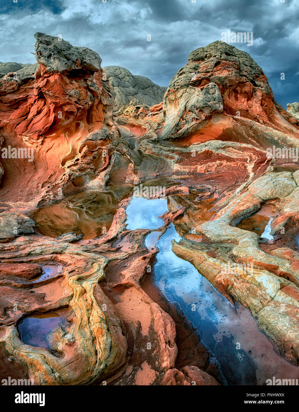 Tasca bianco con acqua di pioggia piscine. Vermilion Cliffs National Monument, Arizona Foto Stock