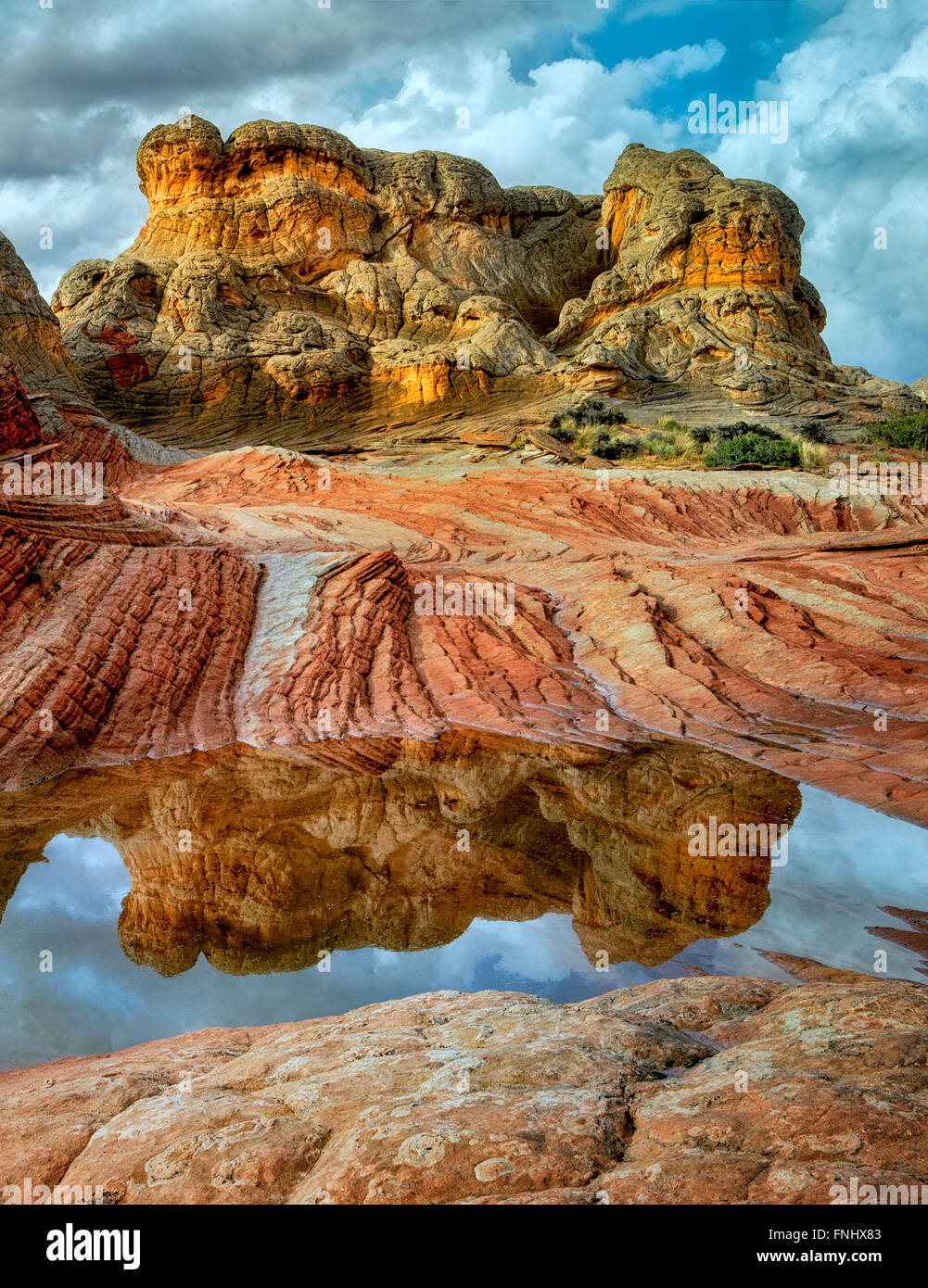 Tasca bianco con acqua di pioggia piscine. Vermilion Cliffs National Monument, Arizona Foto Stock