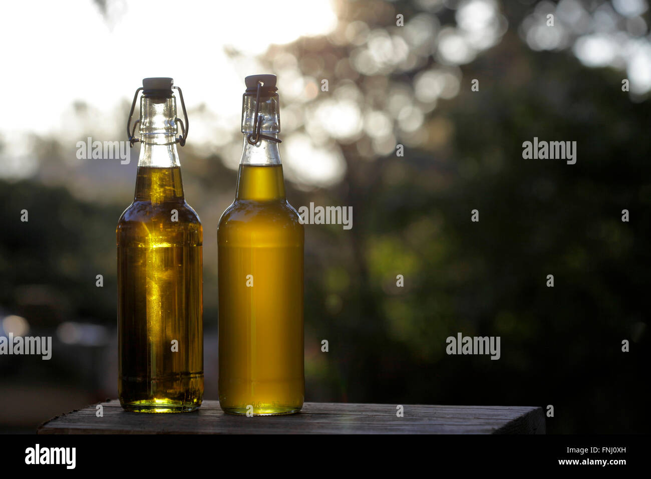 Di fabbricazione artigianale dell'olio d'oliva spagnolo bottiglie. Foto Stock