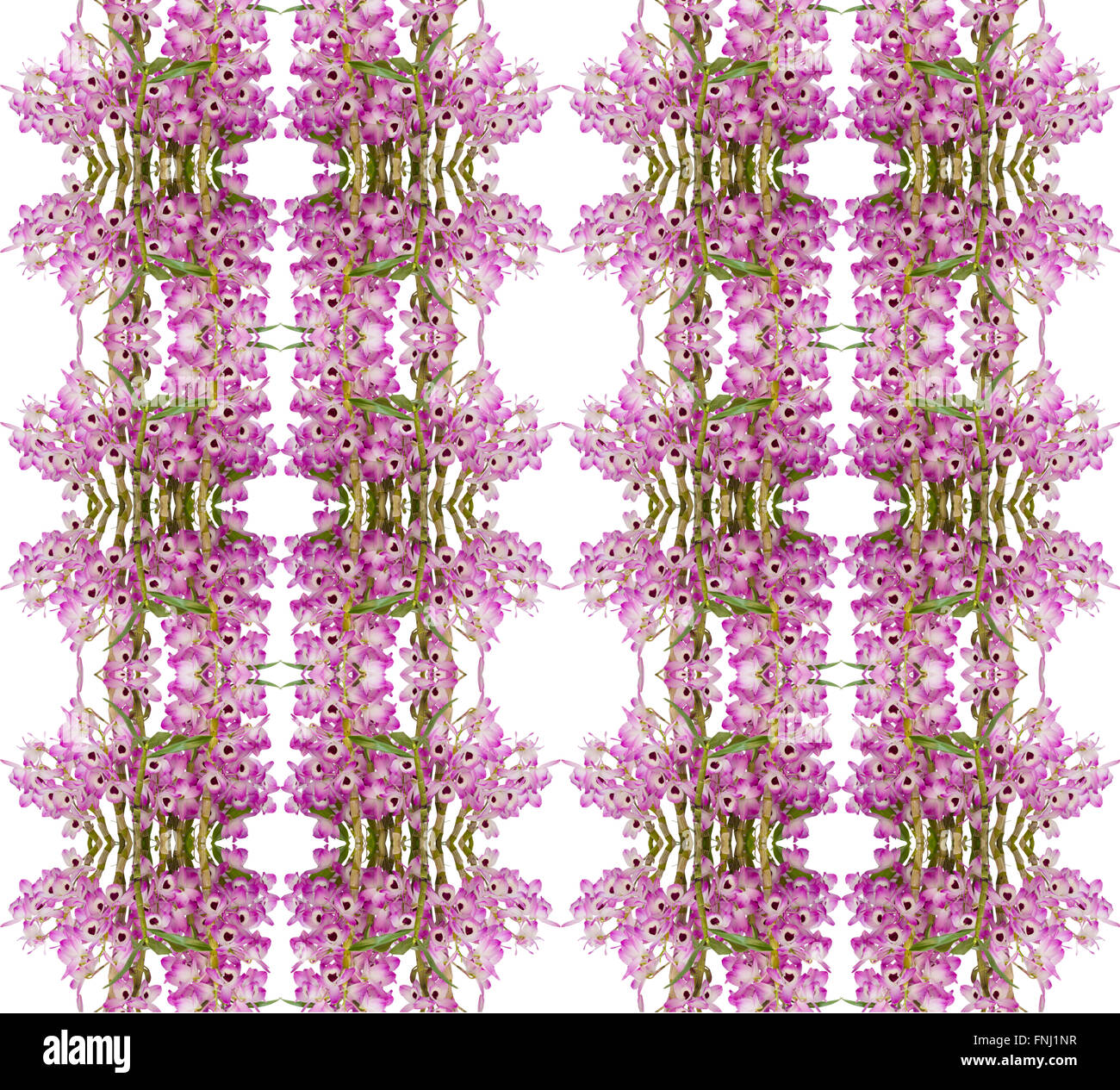 Nobile orchid seamless sfondo pattern Foto Stock