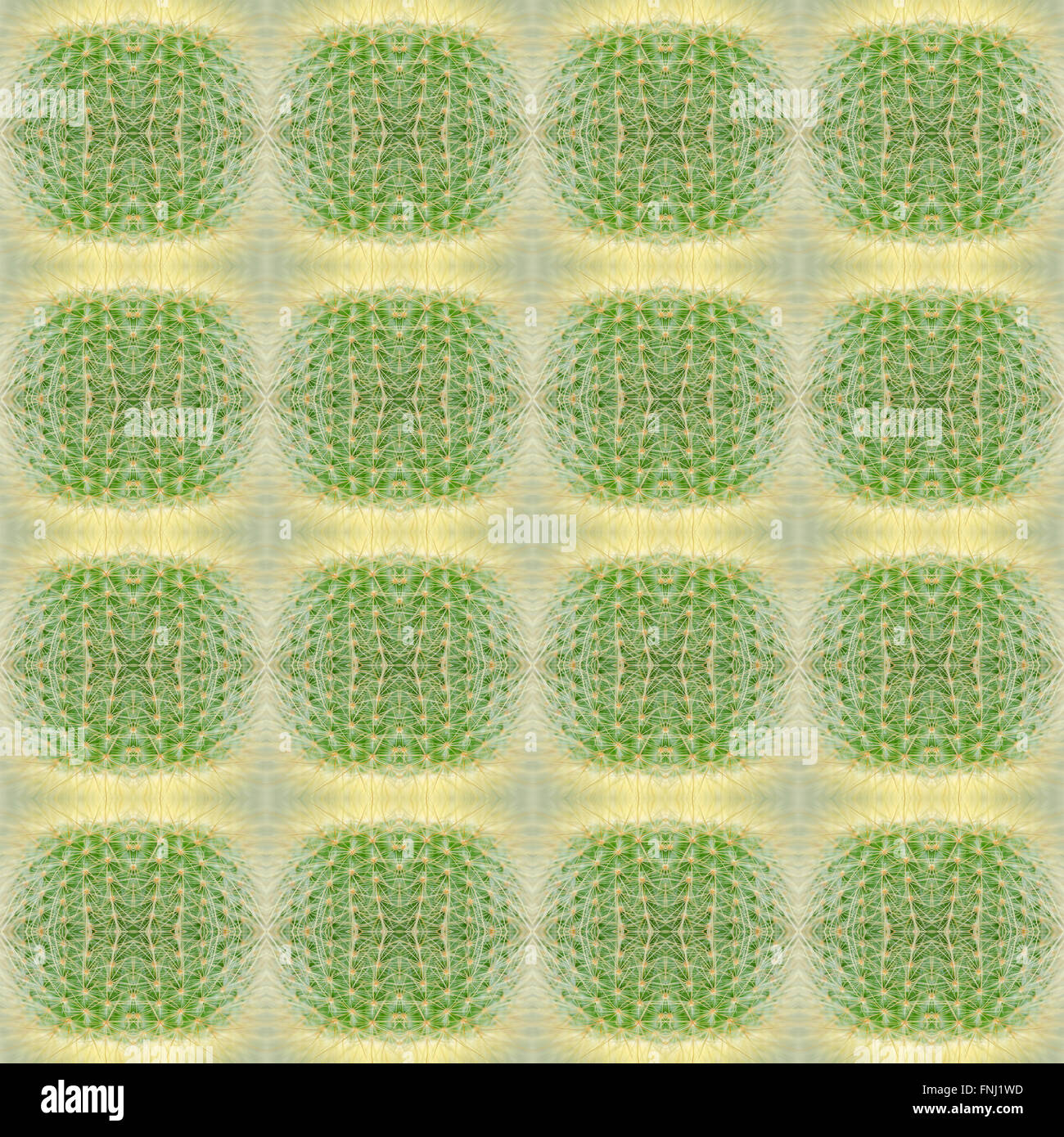 Piante succulente pattern seamless sfondo Foto Stock