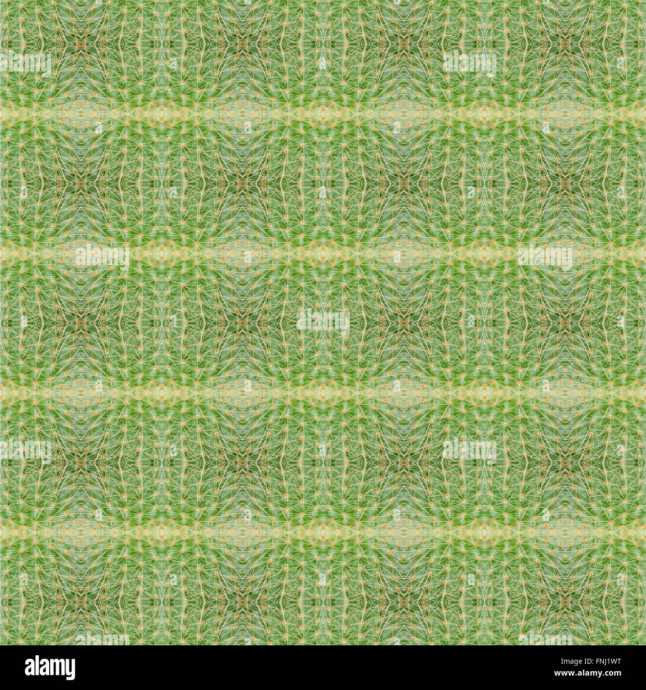 Piante succulente pattern seamless sfondo Foto Stock