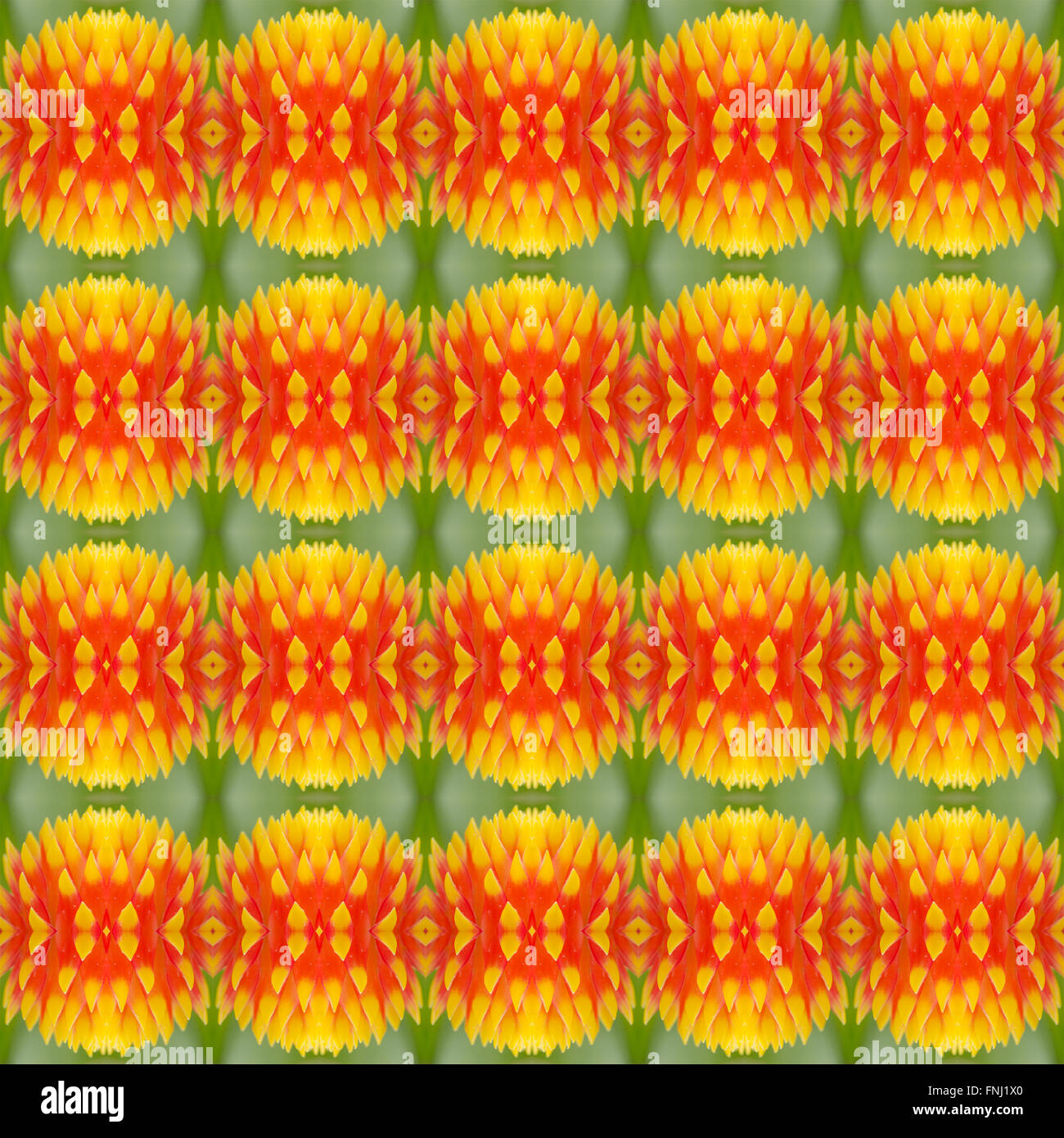 Bromeliad flower seamless sfondo pattern Foto Stock