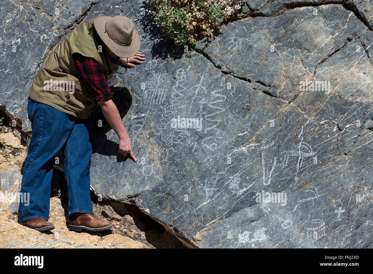 Una guida precisa petroglifi Tito Canyon Road, il Parco Nazionale della Valle della Morte, California, Stati Uniti d'America Foto Stock