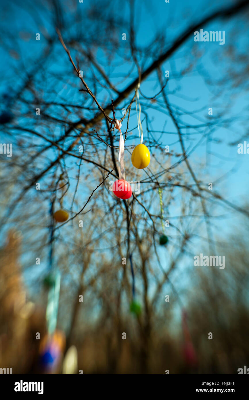 Lensbaby immagine di albero con uovo di pasqua decorazioni Foto Stock
