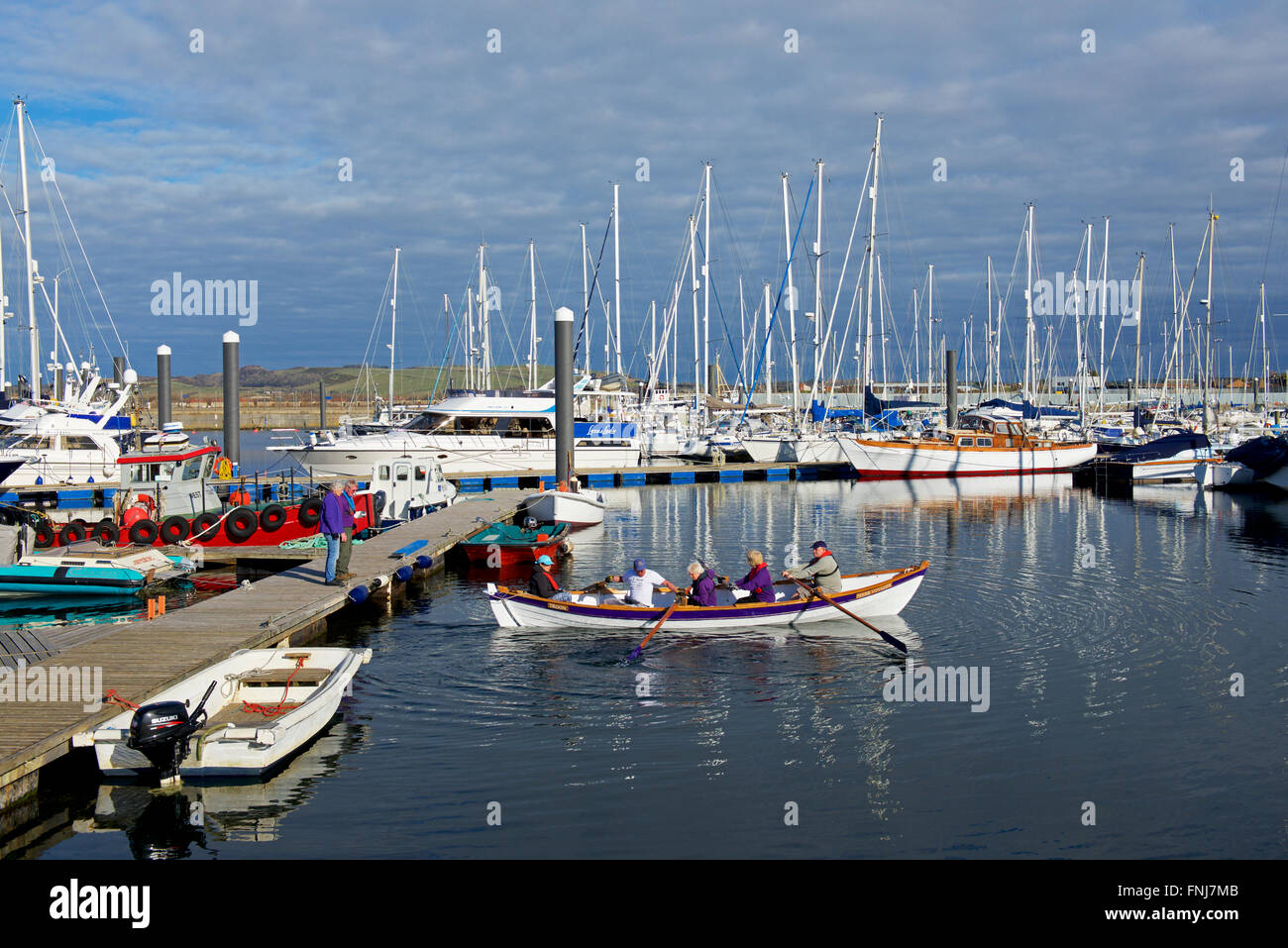 Persone il canottaggio a skiff in Troon Yacht Haven, Ayrshire, in Scozia UK Foto Stock
