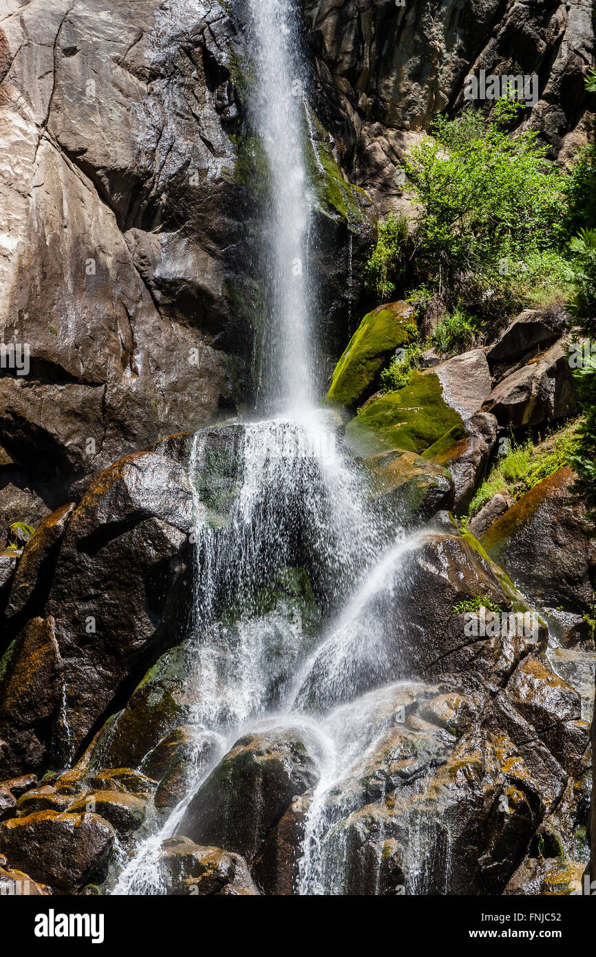 Grizzly Falls è probabilmente il più attraenti in cascata su un tipico banco nel Cedar Grove sezione di Sequoia National Fores Foto Stock