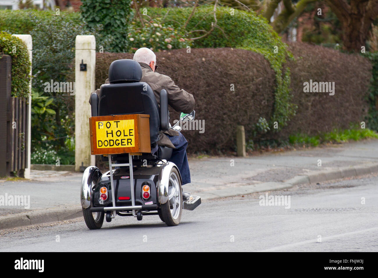 Un utente in sedia a rotelle a Tarleton, Lancashire, Regno Unito. 16 marzo 2016. Esponente senior e pensionato che mostra un cartello che evidenzia lo stato delle strade del Lancashire per i veicoli scooter a mobilità motorizzata. Questo tratto è così male gli utenti di sedie a rotelle e scooter di mobilità devono viaggiare su strada. Gli scooter da 6-8 miglia/h Mobility a causa della loro maggiore velocità devono essere guidati su strada, poiché la legge vieta lo spostamento dello scooter a una velocità di 4 miglia/h sul marciapiede, mentre i carrelli più lenti sono limitati a, e costretti a sopportare un viaggio sconnesso sul marciapiede. Foto Stock